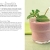 Smoothies, Shakes & Co. (Minikochbuch): Fruchtig, cremig und voller Vitamine (Minikochbuch Relaunch) - 5