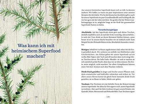 Unser heimisches Superfood: Im Alpenraum sammeln und selber zubereiten - 8